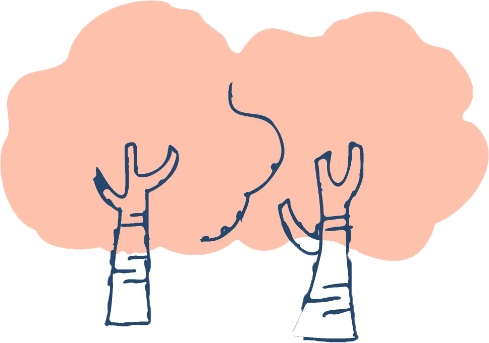 桜の木のイラスト